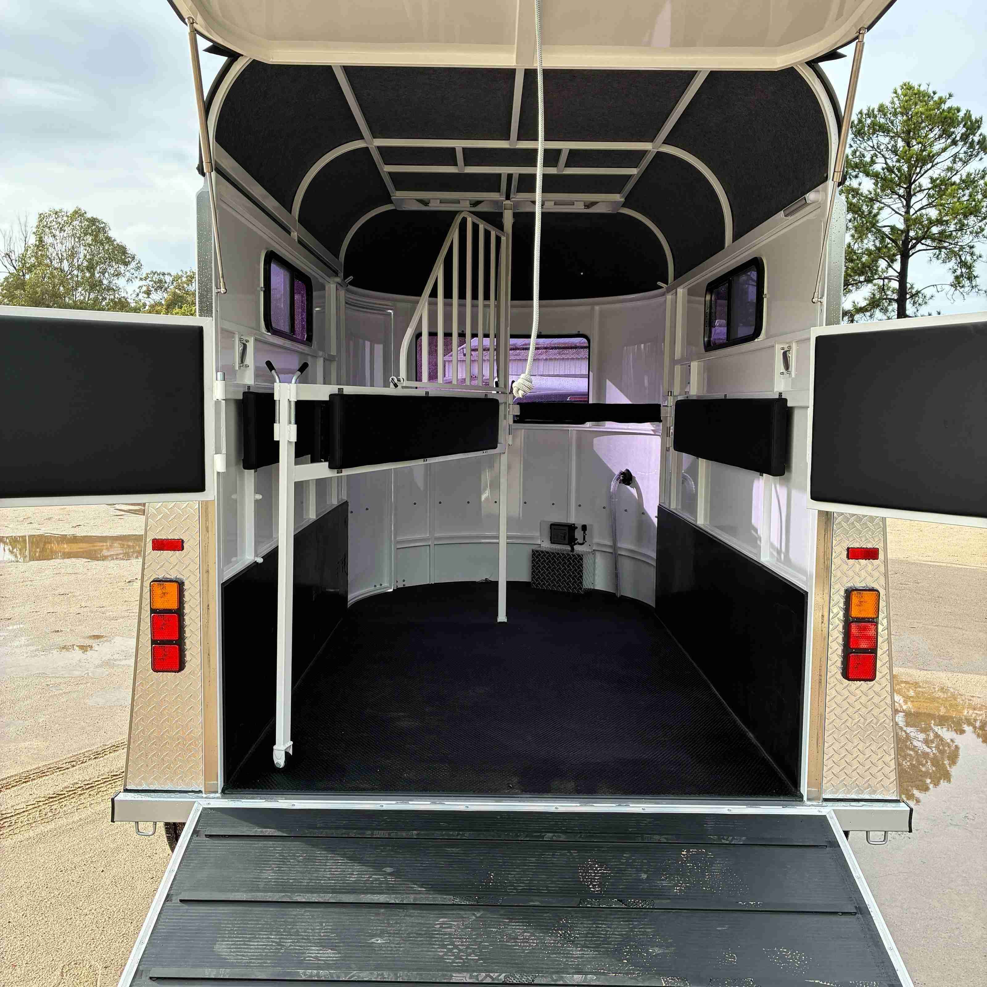 2 Horse Straight Load Float S Plus RN Classic