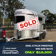2 Horse Straight Load Float S Plus RN Classic - Image 19
