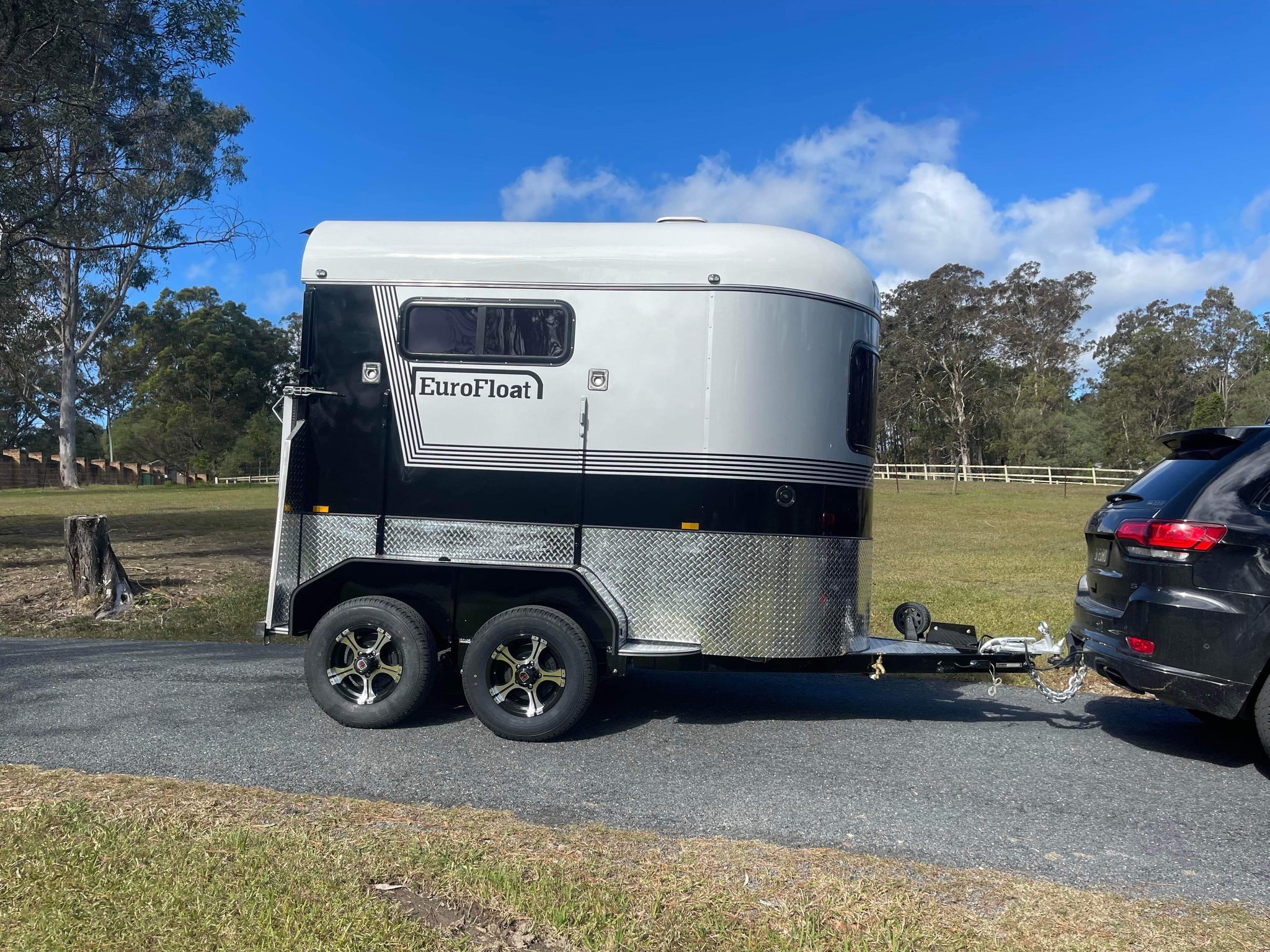 2 Horse Straight Load Float S RN Standard - Image 3